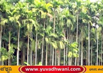 ಅಡಿಕೆ ತೋಟದಲ್ಲಿ ಔಷಧಿ ಸಿಂಪಡಿಸಿದ ಬಳಿಕ ಕಾರ್ಮಿಕ ಅಸ್ವಸ್ಥ, ಸಾವು