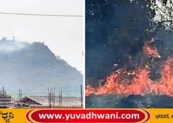 ತೀರ್ಥಹಳ್ಳಿ | ಸಿದ್ದೇಶ್ವರ ಗುಡ್ಡದಲ್ಲಿ ಬೆಂಕಿ | ನಂದಿಸಲು ಹರಸಾಹಸ