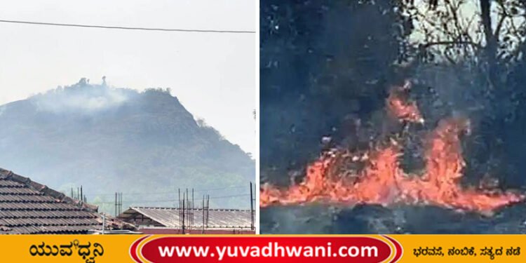 ತೀರ್ಥಹಳ್ಳಿ | ಸಿದ್ದೇಶ್ವರ ಗುಡ್ಡದಲ್ಲಿ ಬೆಂಕಿ | ನಂದಿಸಲು ಹರಸಾಹಸ