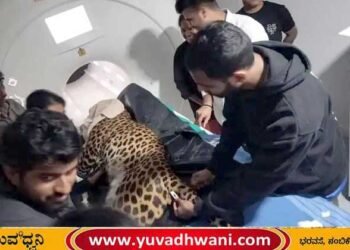 ನಂಜಪ್ಪ ಆಸ್ಪತ್ರೆಯಲ್ಲಿ ಭದ್ರಾಗೆ ಎಂಆರ್‌ಐ ಸ್ಕ್ಯಾನಿಂಗ್!, ಕಾರಣವೇನು?