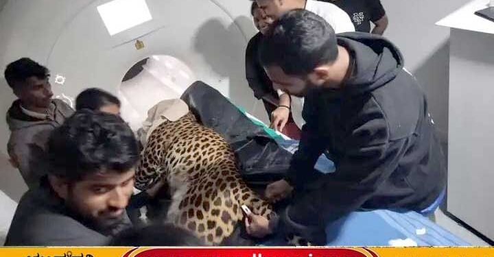 ನಂಜಪ್ಪ ಆಸ್ಪತ್ರೆಯಲ್ಲಿ ಭದ್ರಾಗೆ ಎಂಆರ್‌ಐ ಸ್ಕ್ಯಾನಿಂಗ್!, ಕಾರಣವೇನು?