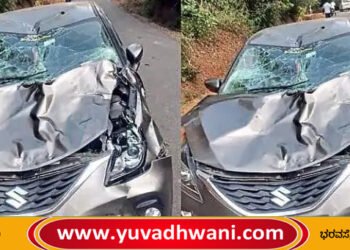 ಕಾಡುಕೋಣ ಹಾರಿ ಕಾರು ಜಖಂ!