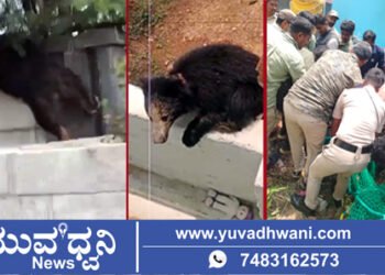 ಶಿವಮೊಗ್ಗ ವಿಮಾನ ನಿಲ್ದಾಣದಲ್ಲಿ ದಿಢೀರ್ ಕರಡಿ ಪ್ರತ್ಯಕ್ಷ!, ಹೇಗಿತ್ತು ಕರಡಿ ಸೆರೆ ಕಾರ್ಯಾಚರಣೆ