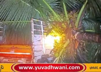 ತೆಂಗಿನ ಮರ ಬಿದ್ದು ಟಾಟಾ ಏಸ್ ಜಖಂ, ಮನೆಗೂ ಹಾನಿ!