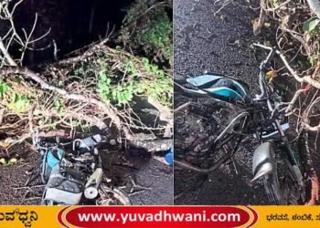 ಗಾಳಿ-ಮಳೆಯ ಅಬ್ಬರ, ಬೈಕ್ ಮೇಲೆ ಮರ ಉರುಳಿ ಸವಾರನಿಗೆ ಗಾಯ,