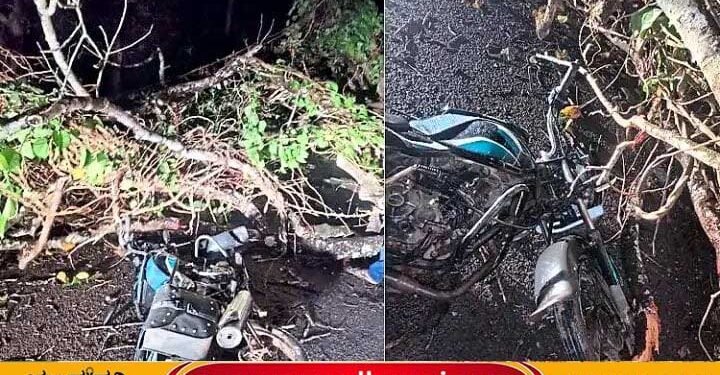 ಗಾಳಿ-ಮಳೆಯ ಅಬ್ಬರ, ಬೈಕ್ ಮೇಲೆ ಮರ ಉರುಳಿ ಸವಾರನಿಗೆ ಗಾಯ,