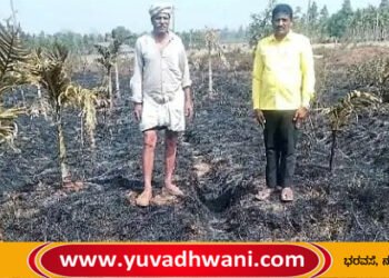 ಆನಂದಪುರ, ವಿದ್ಯುತ್ ಶಾರ್ಟ್ ಸರ್ಕ್ಯೂಟ್, ಅಡಕೆ ತೋಟಕ್ಕೆ ಬೆಂಕಿ