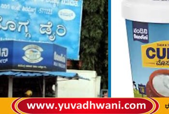 ಶಿಮುಲ್‌ | ಮಾರುಕಟ್ಟೆಗೆ ಎಂಟ್ರಿ ಕೊಟ್ಟ 1 ಕೆ.ಜಿ ಬಕೆಟ್ ಮೊಸರು