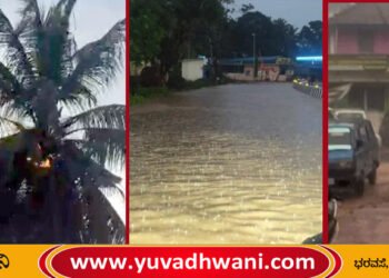 ರಿಪ್ಪನ್‌ಪೇಟೆಯಲ್ಲೂ ಆಲಿಕಲ್ಲು ಮಳೆ:  ತೆಂಗಿನ ಮರಕ್ಕೆ ಬೆಂಕಿ, ರಸ್ತೆಗಳು ಜಲಾವೃತ!