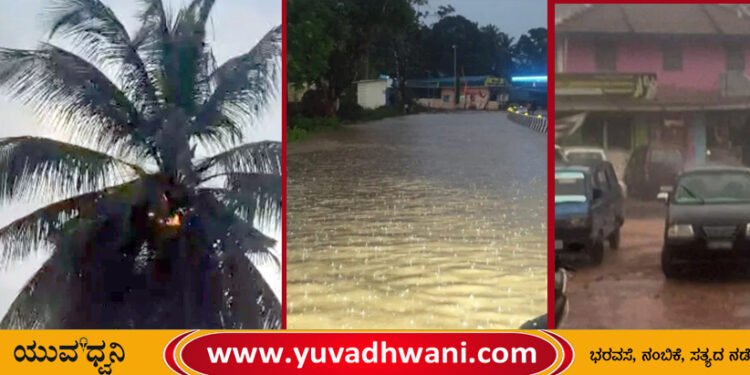 ರಿಪ್ಪನ್‌ಪೇಟೆಯಲ್ಲೂ ಆಲಿಕಲ್ಲು ಮಳೆ:  ತೆಂಗಿನ ಮರಕ್ಕೆ ಬೆಂಕಿ, ರಸ್ತೆಗಳು ಜಲಾವೃತ!