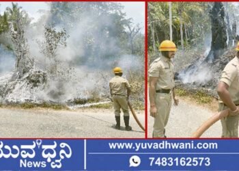 ತೀರ್ಥಹಳ್ಳಿ, ಕುಡುಮಲ್ಲಿಗೆ ಸಮೀಪ ಮರಕ್ಕೆ ಬೆಂಕಿ!