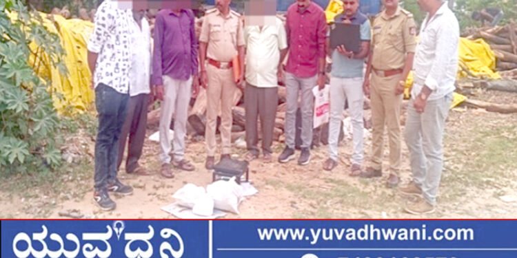 ಅಣ್ಣಾನಗರ ಚಾನಲ್ ಏರಿಯಾದಲ್ಲಿ ಗಾಂಜಾ ಮಾರಾಟ ಮಾಡುತ್ತಿದ್ದವನ ಸೆರೆ