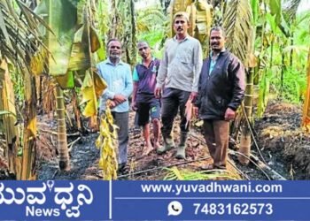 ತೋಟದಲ್ಲಿ ಬೆಂಕಿ ಅವಘಡ, ನೂರಾರು ಅಡಿಕೆ ಮರ ನಾಶ