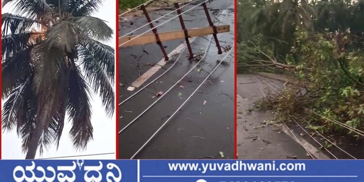 ಶಿವಮೊಗ್ಗ, ಬಿರುಗಾಳಿ ಮಳೆಗೆ ಗ್ರಾಮಾಂತರದ ಹಲವೆಡೆ ಭಾರೀ ಹಾನಿ