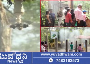 ಶಿವಮೊಗ್ಗ ಹುಲಿ ಮತ್ತು ಸಿಂಹಧಾಮ ಕೂಲ್‌ಕೂಲ್!, ಏನಿದು ವಿಶೇಷ ವ್ಯವಸ್ಥೆ?