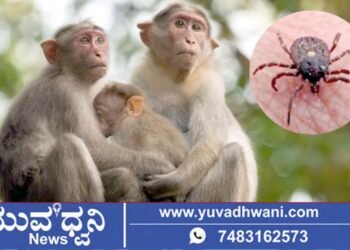 ಮಂಗನ ಕಾಯಿಲೆ, ಸಾರ್ವಜನಿಕರಿಗೆ ತುರ್ತು ಮಾರ್ಗಸೂಚಿ, ಖಾಸಗಿ ಆಸ್ಪತ್ರೆಗಳಿಗೆ ಕಟ್ಟುನಿಟ್ಟಿನ ಸೂಚನೆ