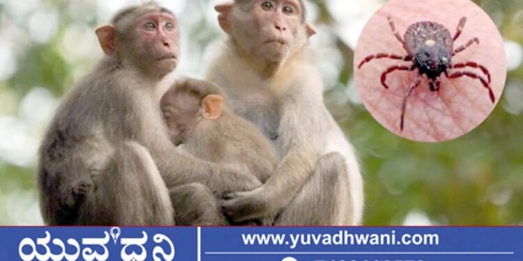 ಮಂಗನ ಕಾಯಿಲೆ, ಸಾರ್ವಜನಿಕರಿಗೆ ತುರ್ತು ಮಾರ್ಗಸೂಚಿ, ಖಾಸಗಿ ಆಸ್ಪತ್ರೆಗಳಿಗೆ ಕಟ್ಟುನಿಟ್ಟಿನ ಸೂಚನೆ