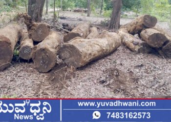 ಕೃಷಿ ಹೊಂಡದ ಬಳಿ ಮಣ್ಣಿನಲ್ಲಿ ಮುಚ್ಚಿಟ್ಟಿದ್ದ ಬೀಟೆ ಮರ ವಶ