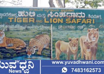 ಶಿವಮೊಗ್ಗ, ಮಂಗಳವಾರವೂ ಹುಲಿ-ಸಿಂಹಧಾಮ ವೀಕ್ಷಣೆಗೆ ಅವಕಾಶ