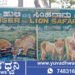 ಶಿವಮೊಗ್ಗ, ಮಂಗಳವಾರವೂ ಹುಲಿ-ಸಿಂಹಧಾಮ ವೀಕ್ಷಣೆಗೆ ಅವಕಾಶ