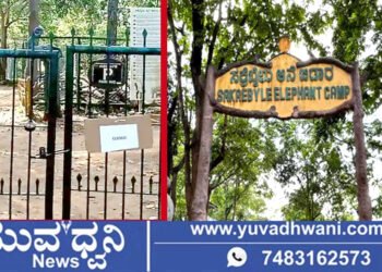 ಸಕ್ರೆಬೈಲು ಆನೆ ಬಿಡಾರಕ್ಕೆ ಪ್ರವಾಸಿಗರ ಪ್ರವೇಶ ನಿಷೇಧ!, ಕಾರಣವೇನು?