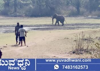 ಶಿವಮೊಗ್ಗ, ಗ್ರಾಮಸ್ಥರನ್ನು ಅಟ್ಟಿಸಿಕೊಂಡು ಬಂದ ಕಾಡಾನೆ, ವಿಡಿಯೋ ವೈರಲ್!