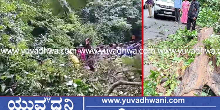 ಆಗುಂಬೆ ಘಾಟಿಯಲ್ಲಿ ಚಲಿಸುತ್ತಿದ್ದ ಕಾರಿನ ಮೇಲೆ ಬಿದ್ದ ಮರ!