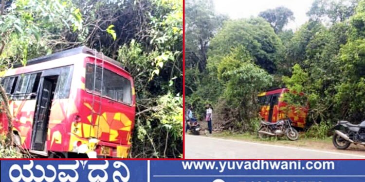 ಚಾಲಕನ ನಿಯಂತ್ರಣ ತಪ್ಪಿ ಕಾಡಿಗೆ ನುಗ್ಗಿದ ಬಸ್!