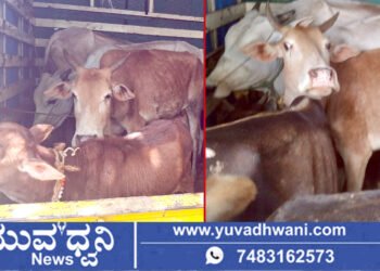 ಅಕ್ರಮವಾಗಿ ಸಾಗಿಸುತ್ತಿದ್ದ ಕರುಗಳು ಸೇರಿ 10 ಗೋವುಗಳ ರಕ್ಷಣೆ