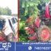 ಕಾರು-ಟ್ರ್ಯಾಕ್ಟರ್ ನಡುವೆ ಅಪಘಾತ, ಓರ್ವ ಸಾವು, ಐವರಿಗೆ ಗಾಯ!