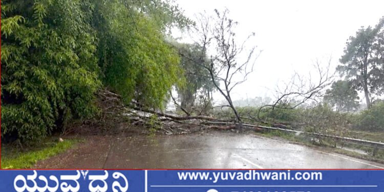 ಸಾಗರ-ಶಿವಮೊಗ್ಗ ಮಧ್ಯೆ ಹೆದ್ದಾರಿ ಬಂದ್!, ಇಲ್ಲಿದೆ ಪರ್ಯಾಯ ಮಾರ್ಗದ ವಿವರ