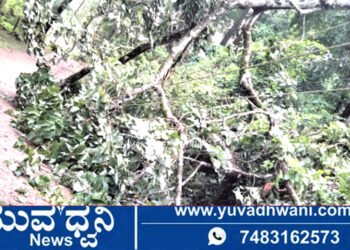 ಗಾಳಿ-ಮಳೆಗೆ ಮರ ಬಿದ್ದು ವಿದ್ಯಾರ್ಥಿನಿಗೆ ಗಂಭೀರ ಗಾಯ!