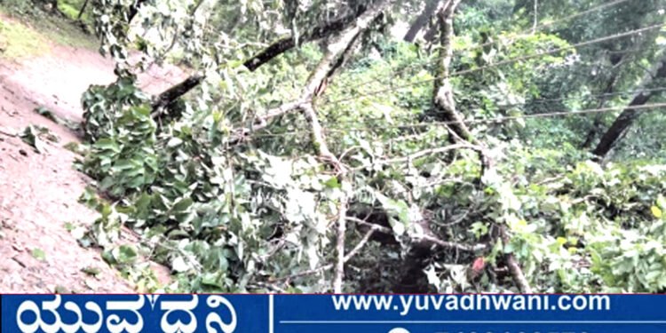 ಗಾಳಿ-ಮಳೆಗೆ ಮರ ಬಿದ್ದು ವಿದ್ಯಾರ್ಥಿನಿಗೆ ಗಂಭೀರ ಗಾಯ!