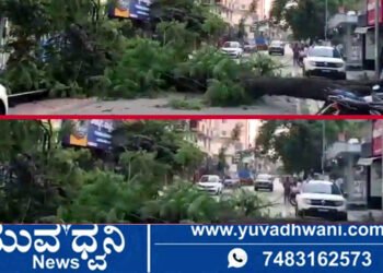 ಗೋಪಿ ವೃತ್ತದ ಬಳಿ ರಸ್ತೆ ಮಧ್ಯೆ ಅಡ್ಡಲಾಗಿ ಬಿದ್ದ ಮರ, ಕಾರು ಅಪಾಯದಿಂದ ಪಾರು!