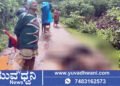 ವಿದ್ಯುತ್ ಶಾಕ್ಗೆ 3 ಜಾನುವಾರುಗಳು ಸಾವು, ಬೈಕ್ ಸವಾರರು ಪಾರು!