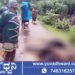 ವಿದ್ಯುತ್ ಶಾಕ್ಗೆ 3 ಜಾನುವಾರುಗಳು ಸಾವು, ಬೈಕ್ ಸವಾರರು ಪಾರು!