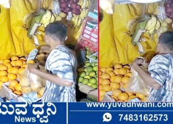 ಹಣ್ಣಿನ ಅಂಗಡಿಗೆ ನುಗ್ಗಿ ಮಾವು, ದಾಳಿಂಬೆ ಕದ್ದ ಖದೀಮ!