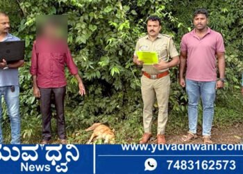 ಸಾಗರ, ಬೀದಿ ನಾಯಿಗೆ ಗುಂಡಿಕ್ಕಿ ಹತ್ಯೆ, ಆರೋಪಿ ಅರೆಸ್ಟ್, ಆಗಿದ್ದೇನು?
