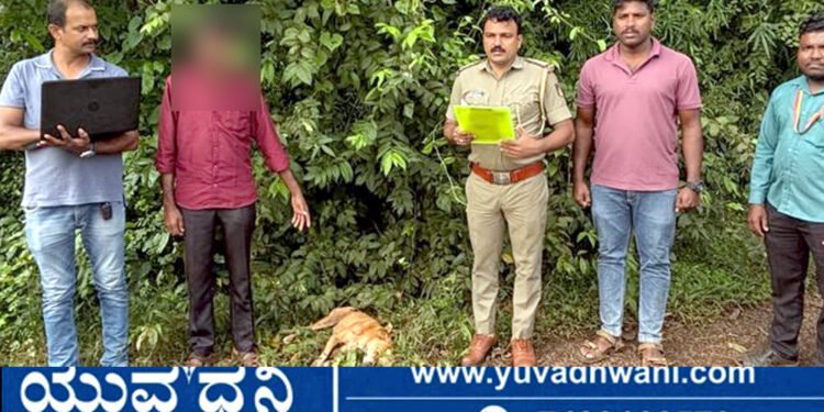 ಸಾಗರ, ಬೀದಿ ನಾಯಿಗೆ ಗುಂಡಿಕ್ಕಿ ಹತ್ಯೆ, ಆರೋಪಿ ಅರೆಸ್ಟ್, ಆಗಿದ್ದೇನು?