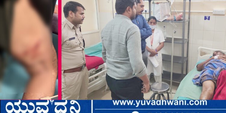ಕರ್ತವ್ಯ ನಿರತ ಅರಣ್ಯ ವಾಚರ್ ಮೇಲೆ ಕರಡಿ ದಾಳಿ!