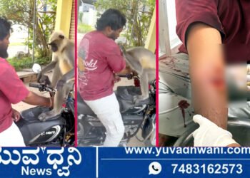 ಬೈಕ್ ಮೇಲೆ ಕುಳಿತ ಮುಷ್ಯ, ಬೀಗ ಆನ್ ಮಾಡಿದ ಯುವಕನಿಗೆ ಕಾದಿತ್ತು ಶಾಕ್!