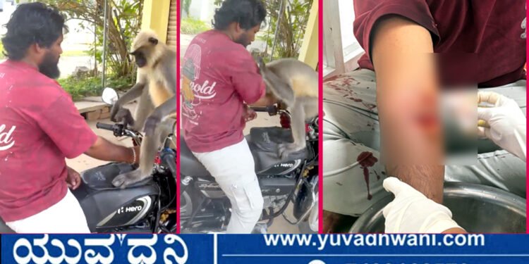 ಬೈಕ್ ಮೇಲೆ ಕುಳಿತ ಮುಷ್ಯ, ಬೀಗ ಆನ್ ಮಾಡಿದ ಯುವಕನಿಗೆ ಕಾದಿತ್ತು ಶಾಕ್!