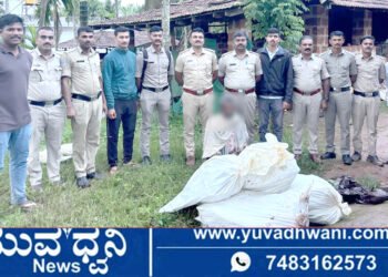 ತೋಟದಲ್ಲಿ ಬೆಳೆದಿದ್ದ 2.10 ಲಕ್ಷ ರೂ. ಮೌಲ್ಯದ ಗಾಂಜಾ ಗಿಡ ವಶ, ಇಬ್ಬರ ಬಂಧನ!