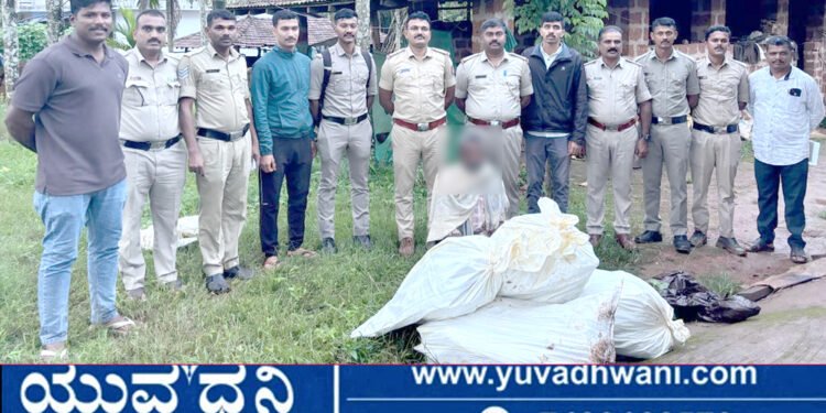 ತೋಟದಲ್ಲಿ ಬೆಳೆದಿದ್ದ 2.10 ಲಕ್ಷ ರೂ. ಮೌಲ್ಯದ ಗಾಂಜಾ ಗಿಡ ವಶ, ಇಬ್ಬರ ಬಂಧನ!