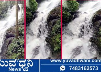 ಹಾಲ್ನೊರೆಯಂತೆ ದುಮ್ಮಿಕ್ಕುತ್ತಿರುವ ಬಾಳೆಬರೆ ಫಾಲ್ಸ್