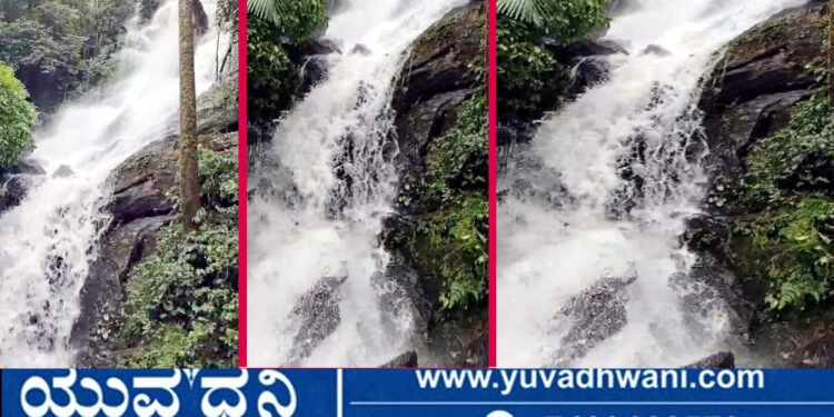 ಹಾಲ್ನೊರೆಯಂತೆ ದುಮ್ಮಿಕ್ಕುತ್ತಿರುವ ಬಾಳೆಬರೆ ಫಾಲ್ಸ್