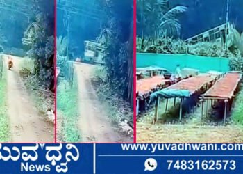 ಅಡಿಕೆ ತೋಟಕ್ಕೆ ನುಗ್ಗಿದ ಬಸ್, ಓರ್ವ ಸಾವು, | ಸಿಸಿಟಿವಿಯಲ್ಲಿ ಸೆರೆಯಾಯ್ತು ಭೀಕರ ದೃಶ್ಯ!