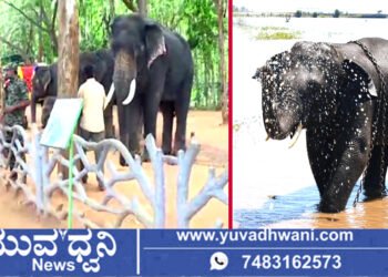 ಪ್ರವಾಸಿಗರಿಗೆ  ಗುಡ್‌ನ್ಯೂಸ್‌,  ಸದ್ಯದಲ್ಲೇ ಸಕ್ರೆಬೈಲು ಆನೆ ಬಿಡಾರ ಪುನರಾರಂಭ, ಯಾವಾಗ?