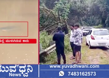 ತೀರ್ಥಹಳ್ಳಿ, ಚಾಲಕನ ನಿಯಂತ್ರಣ ತಪ್ಪಿ ಕೆರೆಗೆ ಬಿದ್ದ ಕಾರು!
