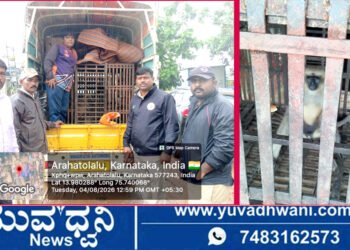 ಹೊಳೆಹೊನ್ನೂರು, ಜನರ ನಿದ್ದೆಗೆಡಿಸಿದ್ದ ಕೋತಿ (ಮುಷ್ಯ) ಸೆರೆ